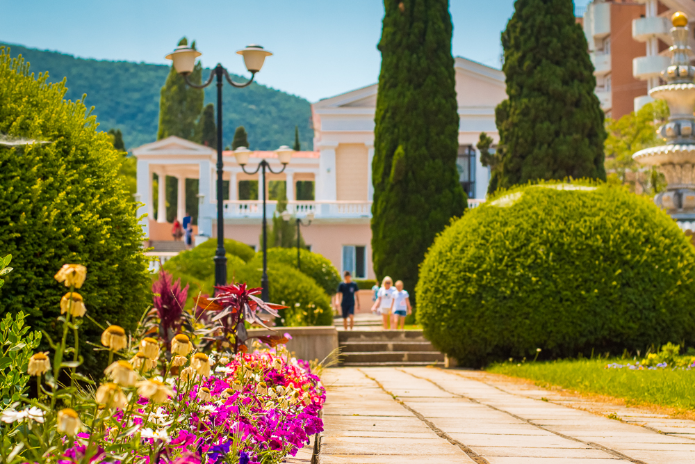 Алушта санаторий киев фото